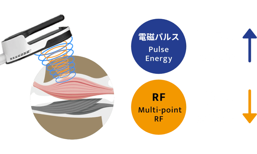 25%筋肉増強 30%脂肪減少