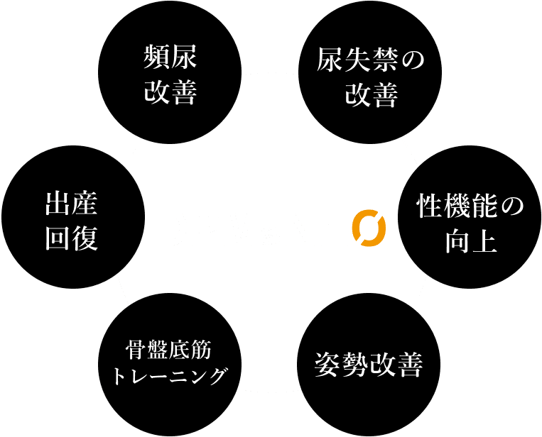 頻尿の改善・尿失禁の改善・性機能の向上・血流改善・骨盤底筋トレーニング・出産回復