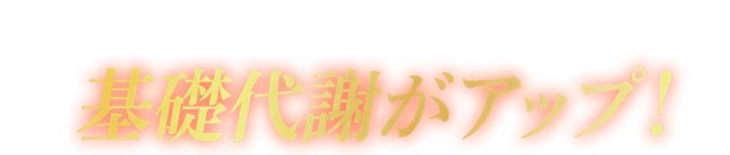 ポイント1 脂肪を減らし、基礎代謝がアップ！