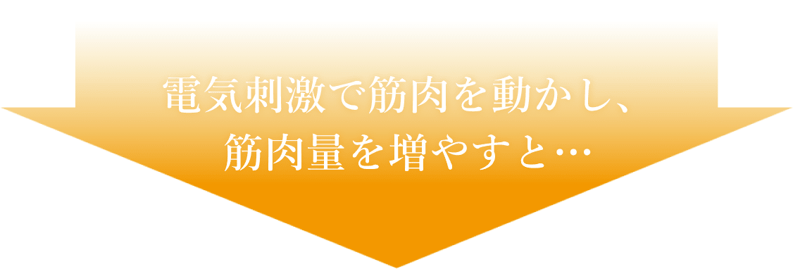 電気刺激で筋肉を動かし、筋肉量を増やすと…